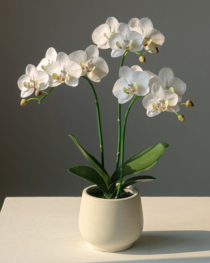 Artificial Orchid - Beige Fiber Pot