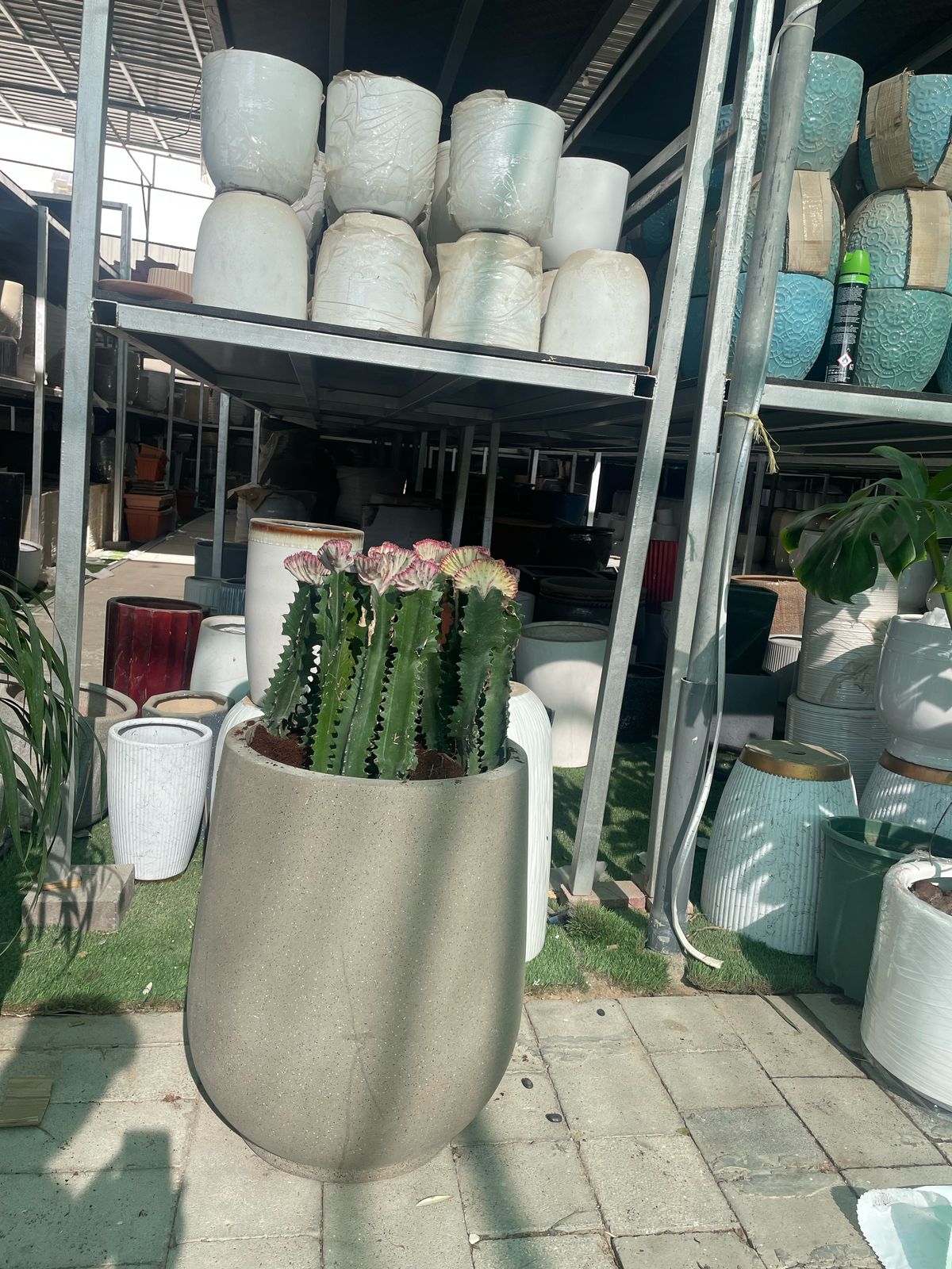 Cactus - Fiber Pot