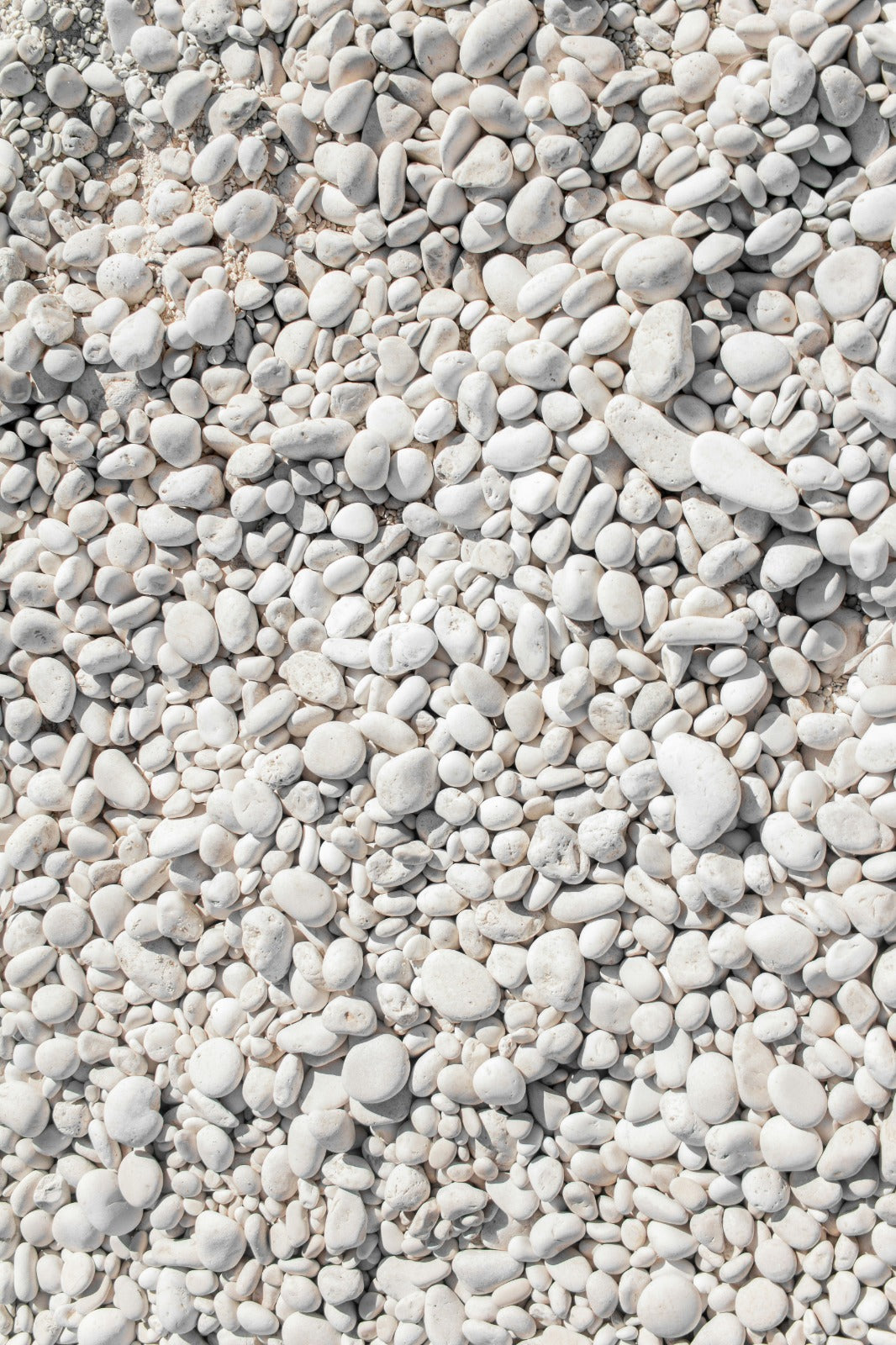 White Pebbles - 20 KG Bag - 1-2CM