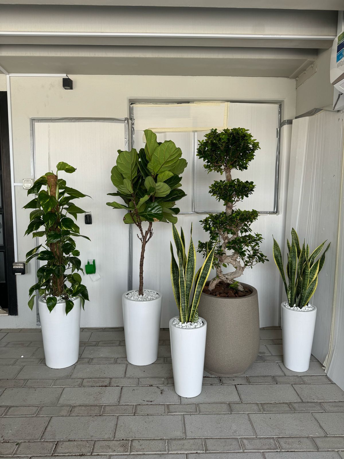 Unkillable Bundle - Potted