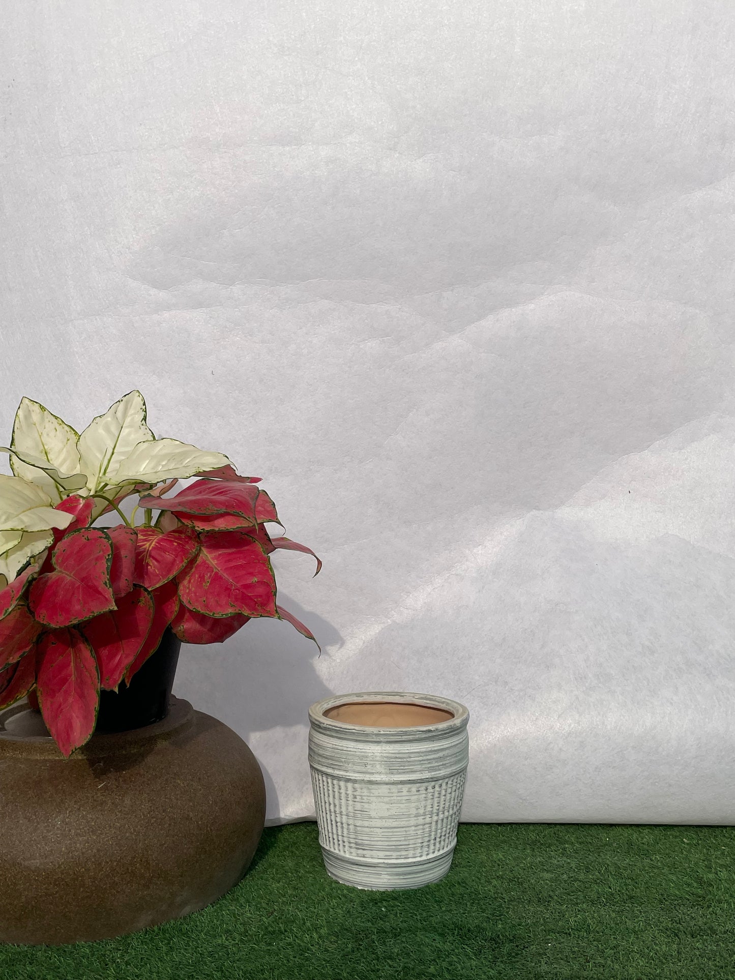 Small - Designer Ceramic Pot