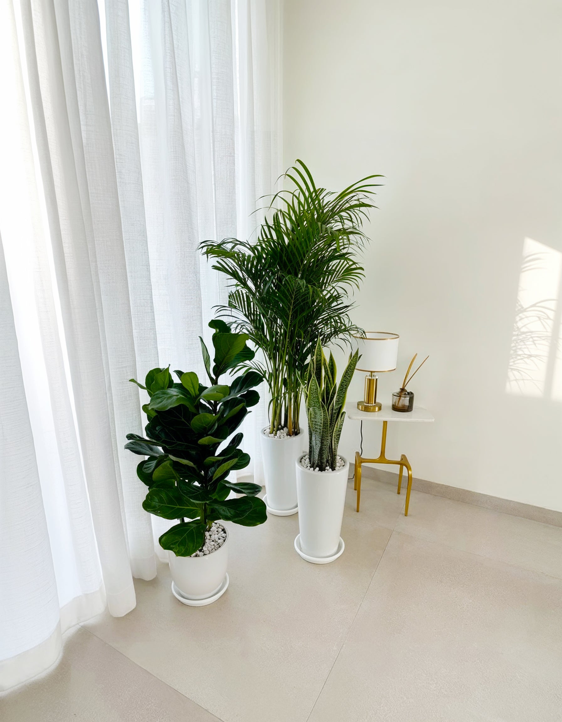 Air Purifier Bundle - Best Value