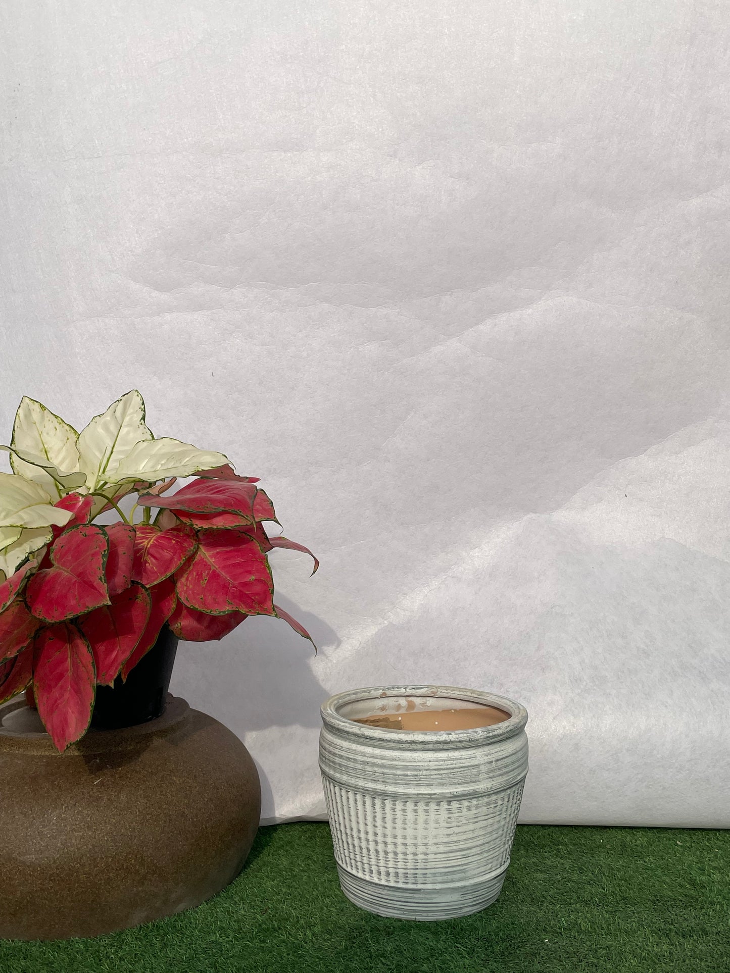 Medium Designer - Ceramic Pot
