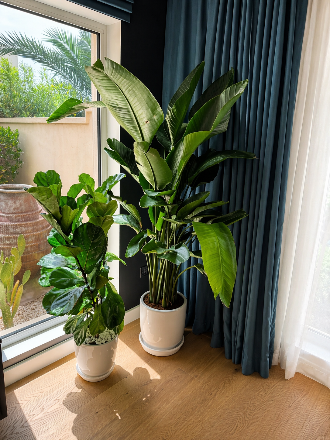 Bird of Paradise & Fiddle Bundle - Ceramic Pots