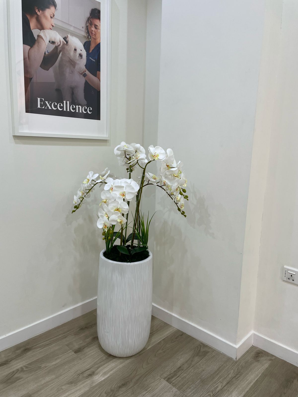 Artificial Orchid - Tall Pot