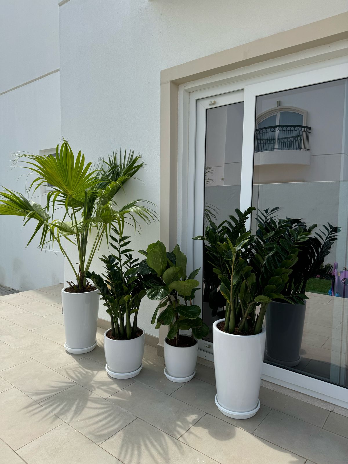 Beginner Friendly Set of 4