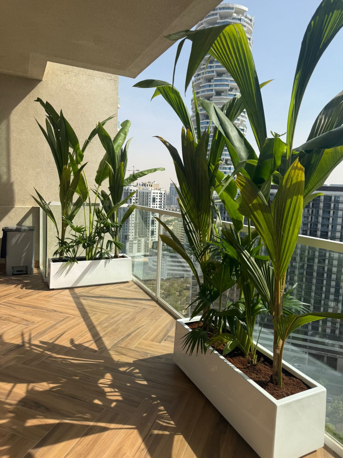 Tropical Plants Arrangement