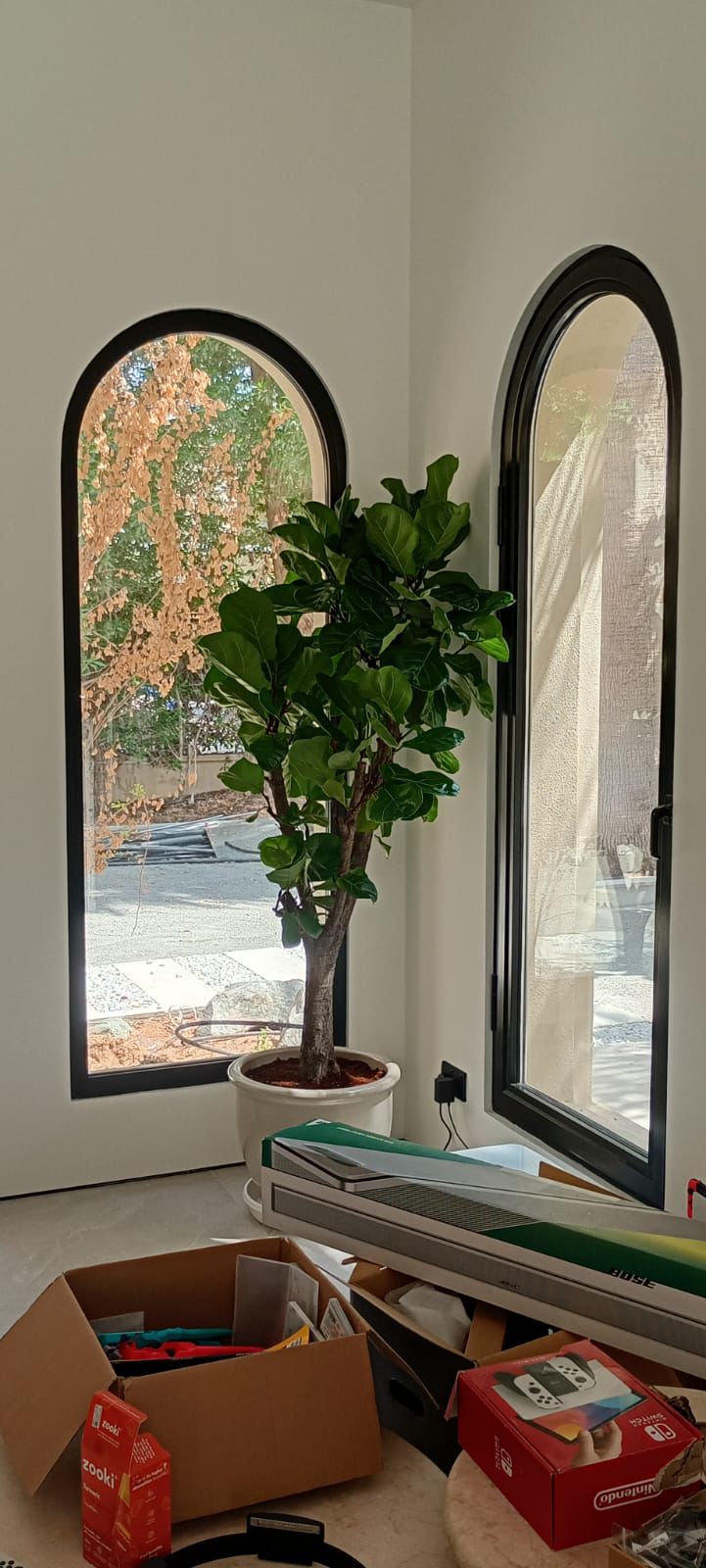 Fiddle - Terracotta Pot