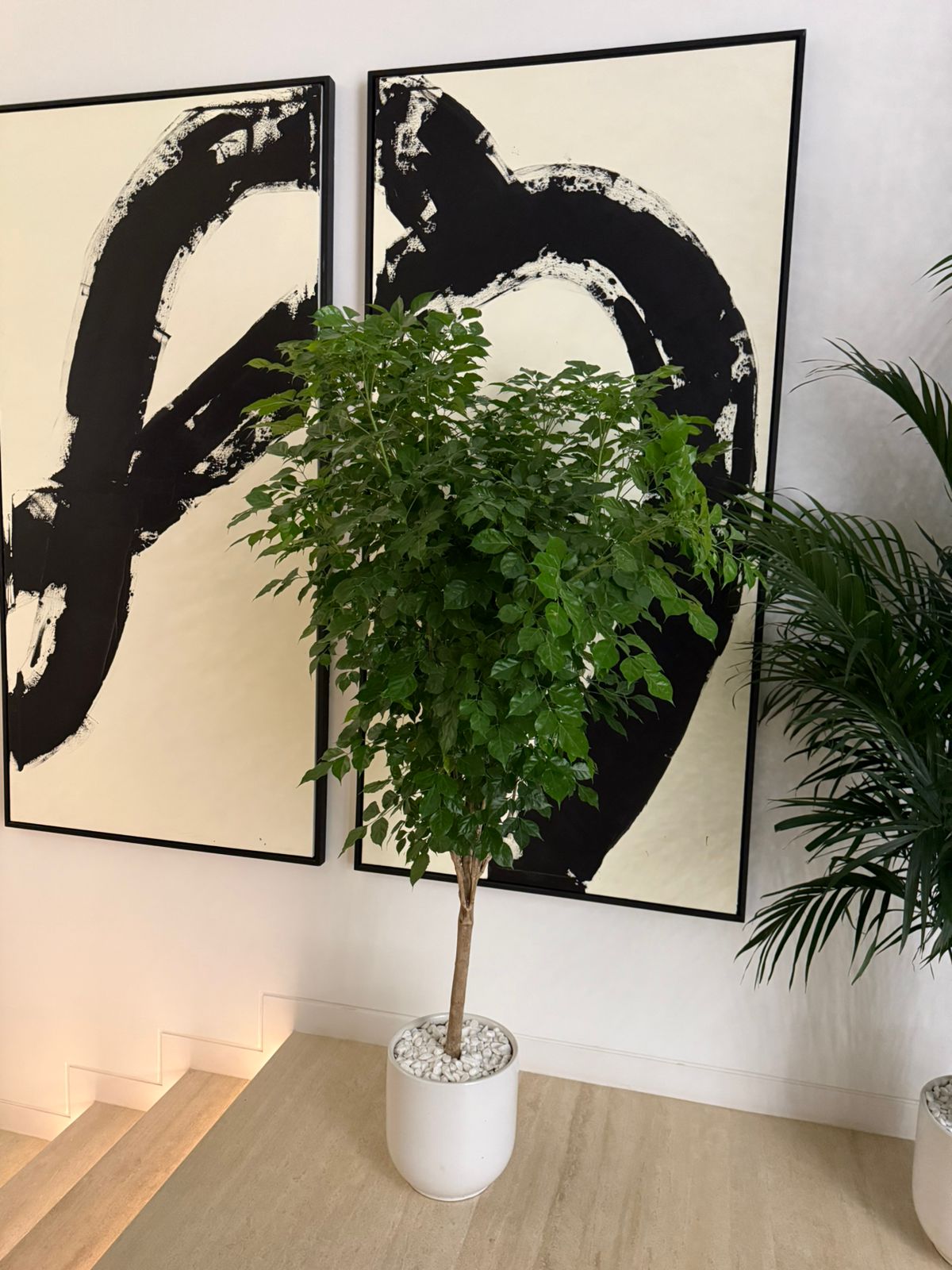 Red Machira - Ceramic Pot