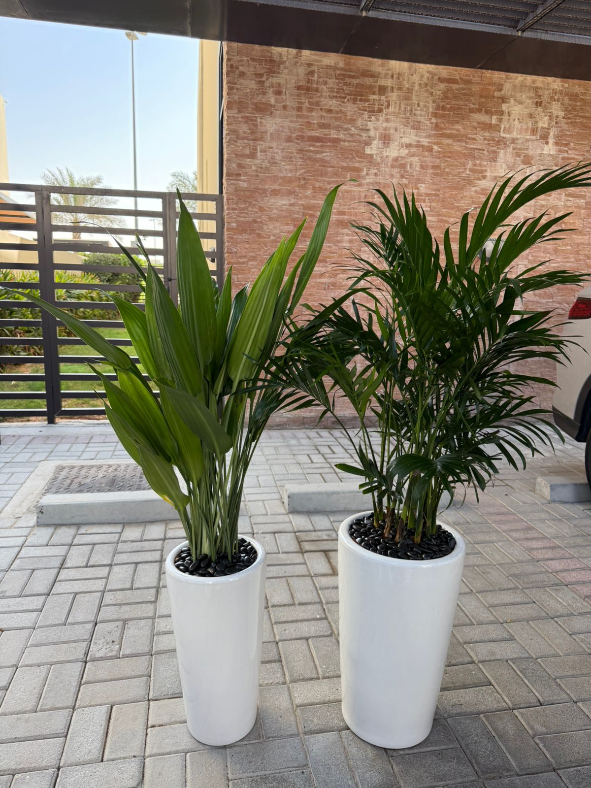 Tropical Indoor Bundle