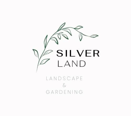 Buy Plants Online | Indoor Plants UAE – Silver Garden