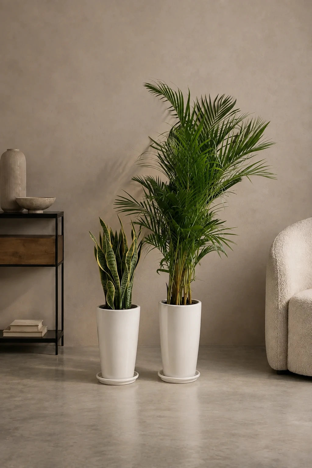 Air Purifying Bundle