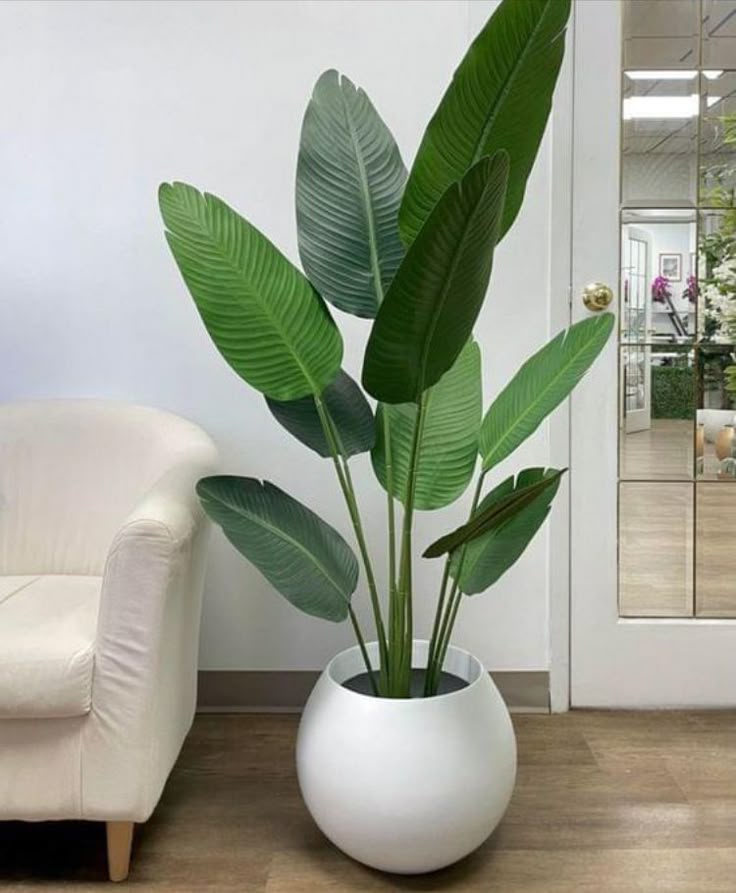 Artificial Bird of Paradise - Fiber Round pot