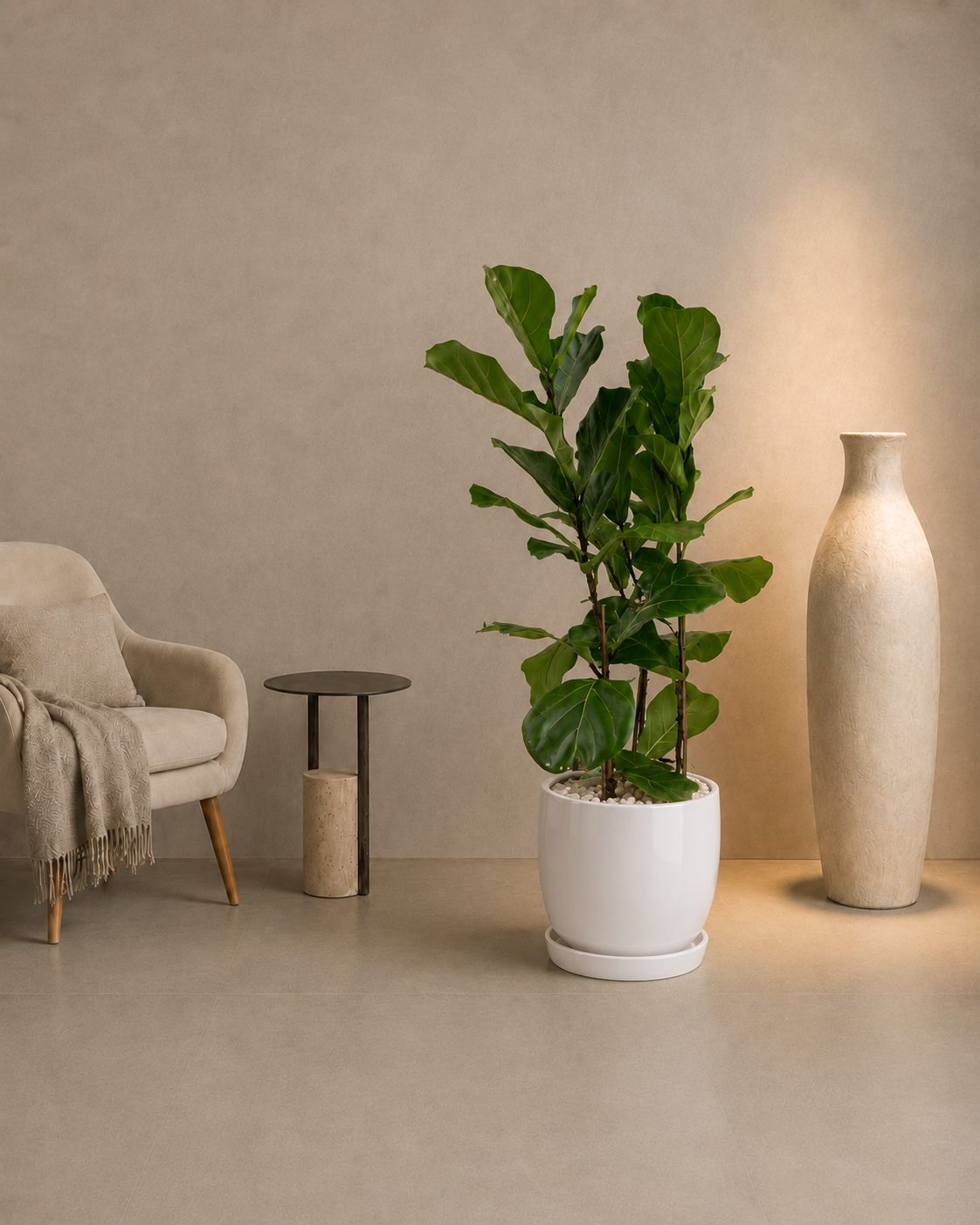 Fiddle Leaf