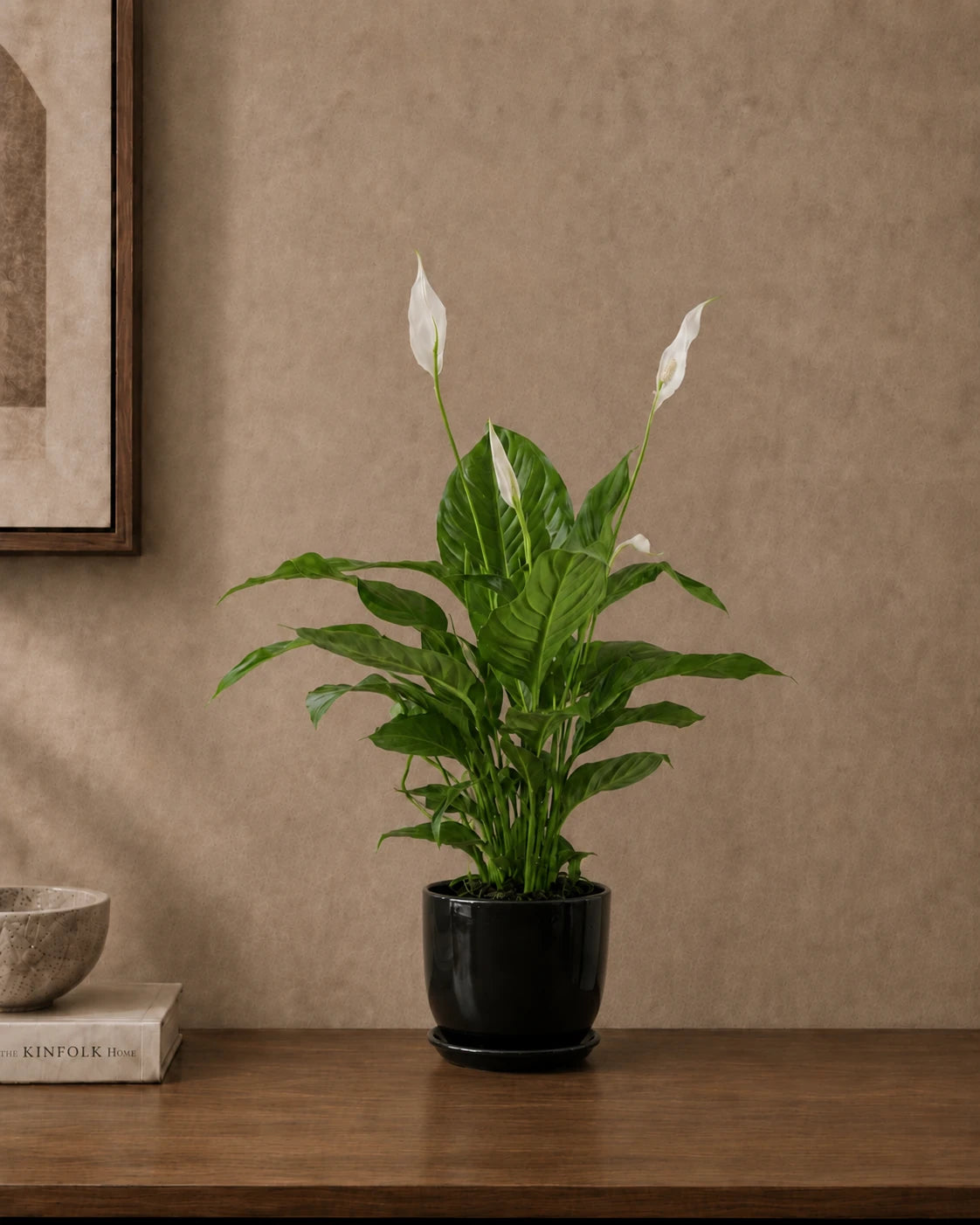 Peace Lily