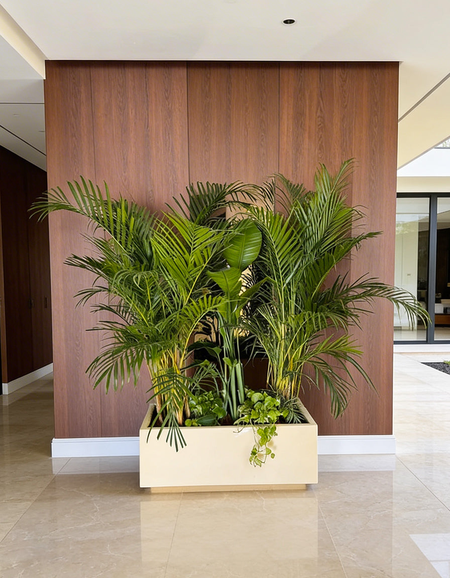 Privacy Arrangement Tropical - Fiber Planter