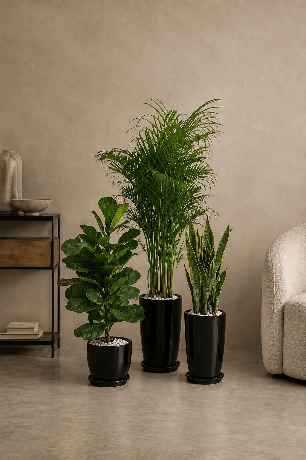 Air Purifier Bundle - Best Value