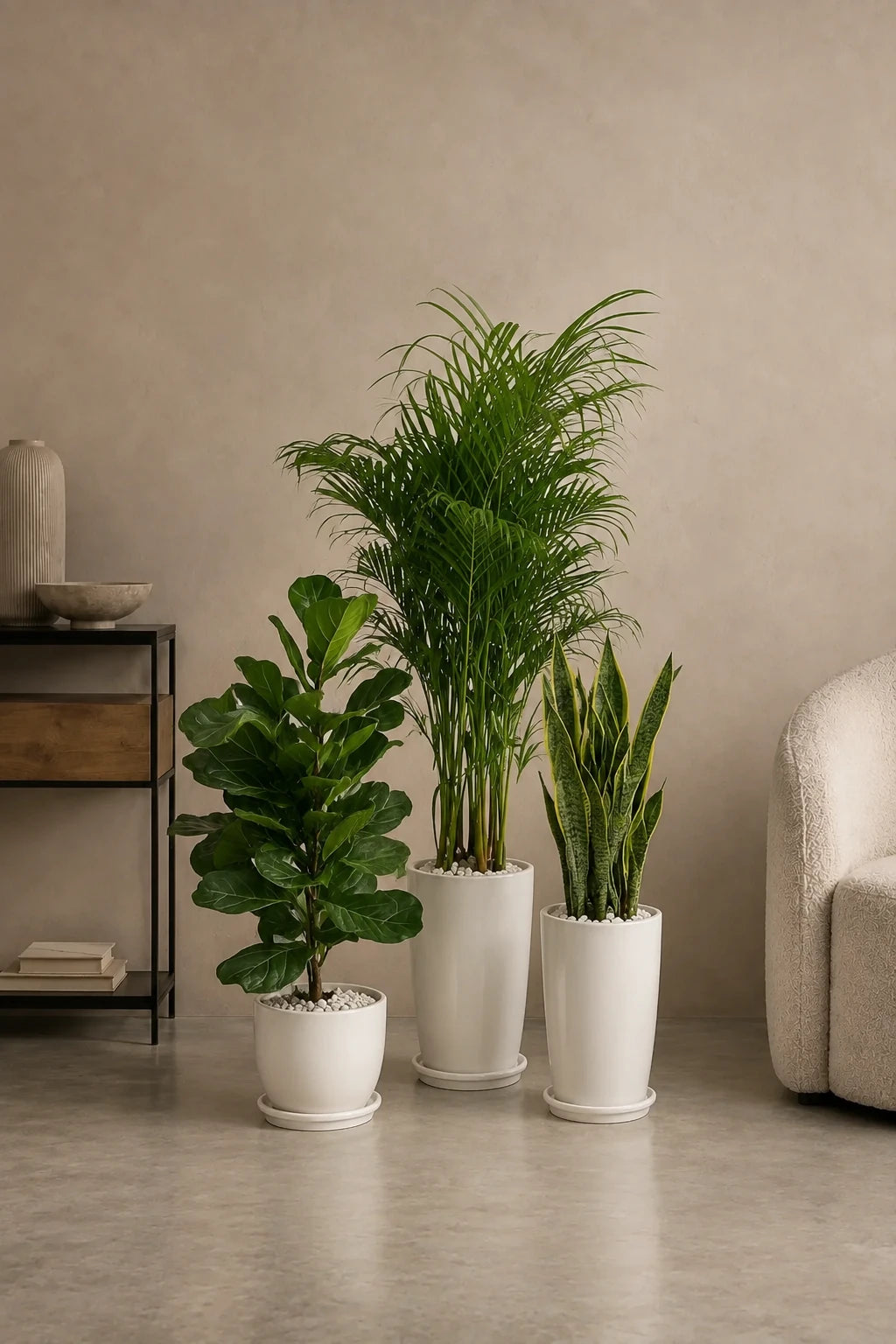 Air Purifier Bundle - Best Value