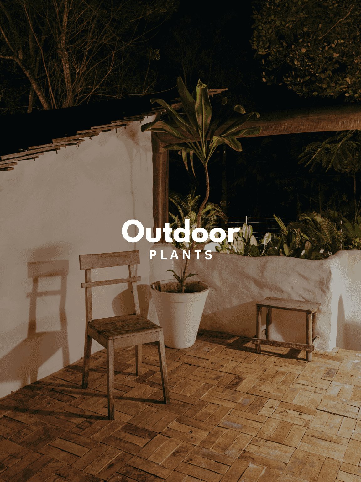 Outdoor Plants