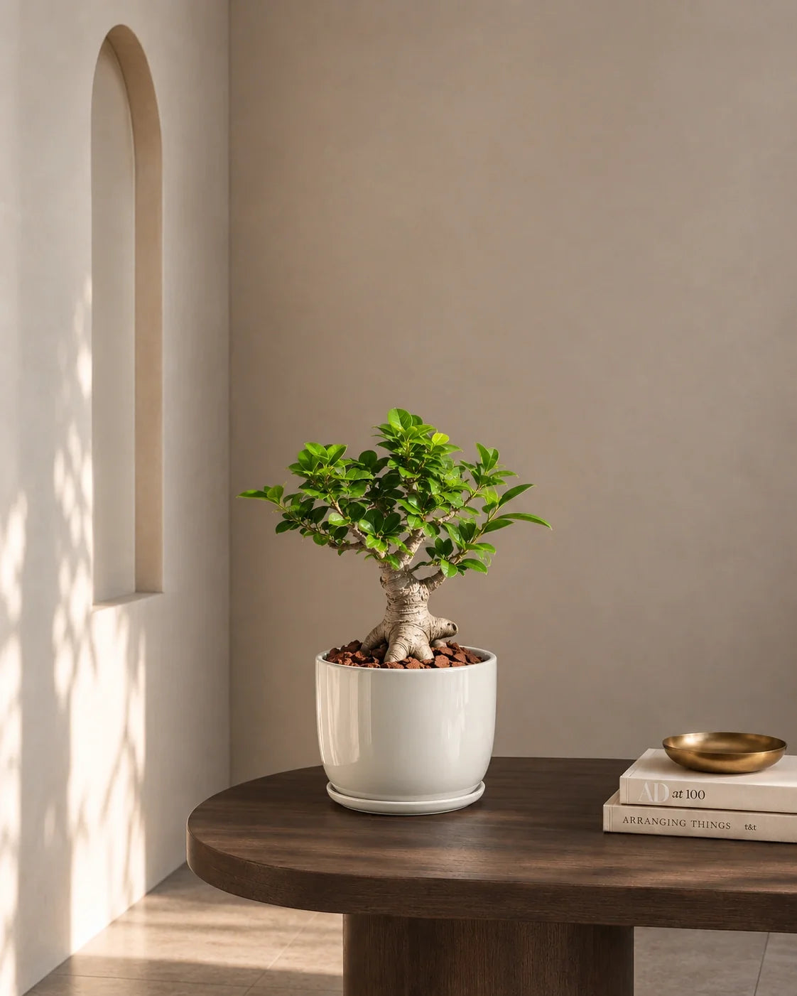 Small Indoor