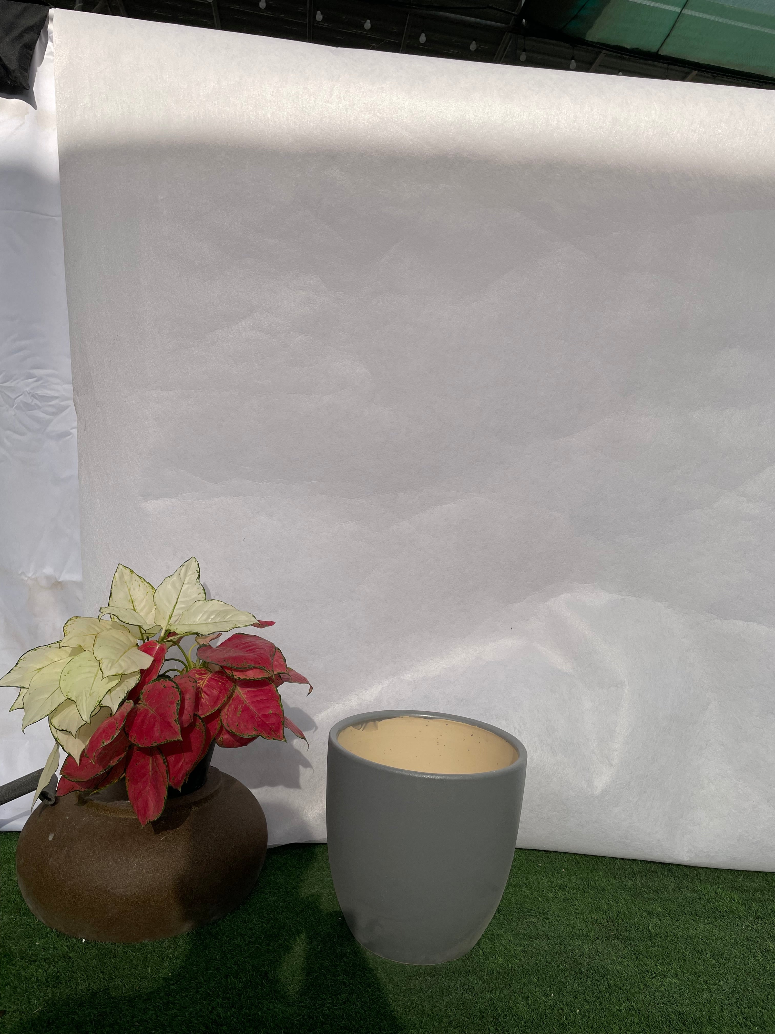 Large - Ceramic Pot Grey
