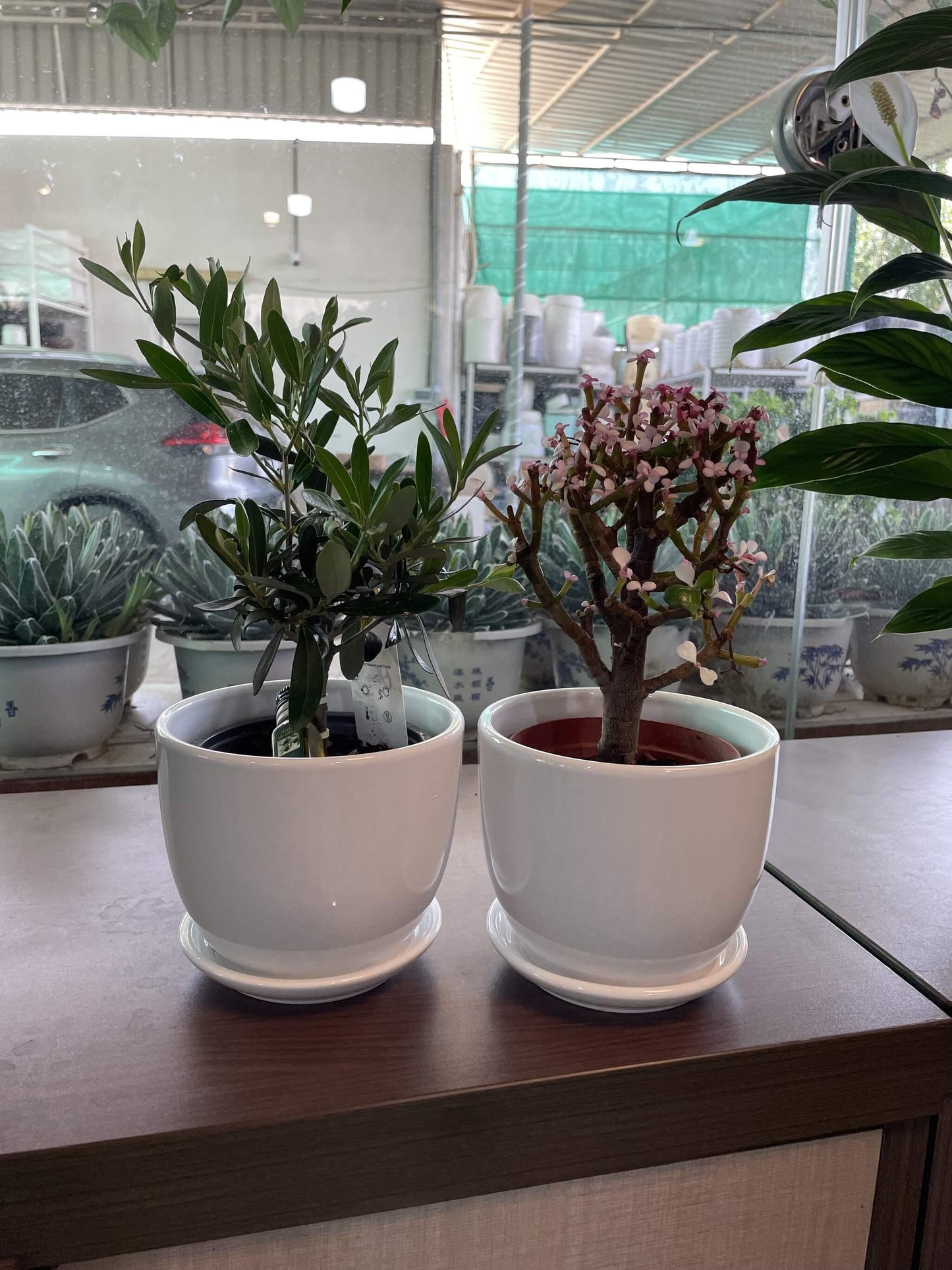 Exotic Table Set of 2