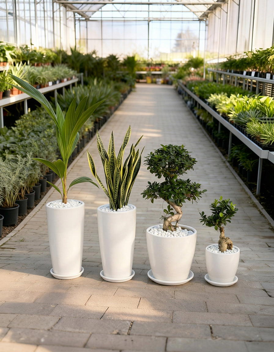 4 Outdoor & Indoors Bundle! - Best Seller!