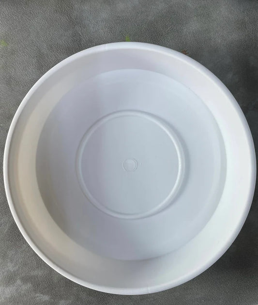 Plastic Saucer - Each