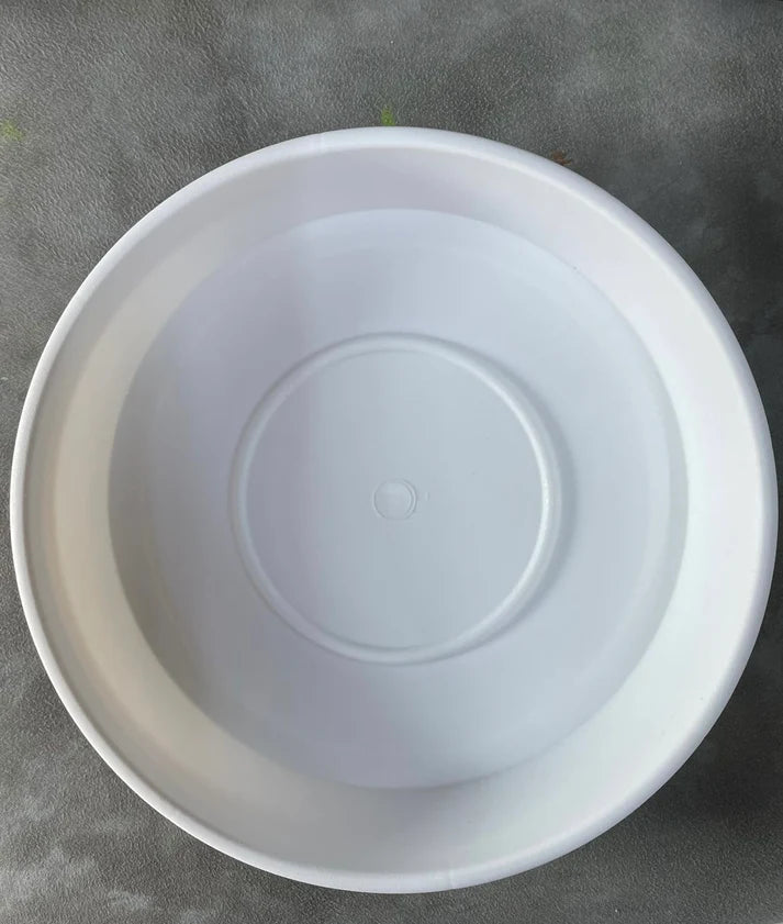 Plastic Saucer - Each