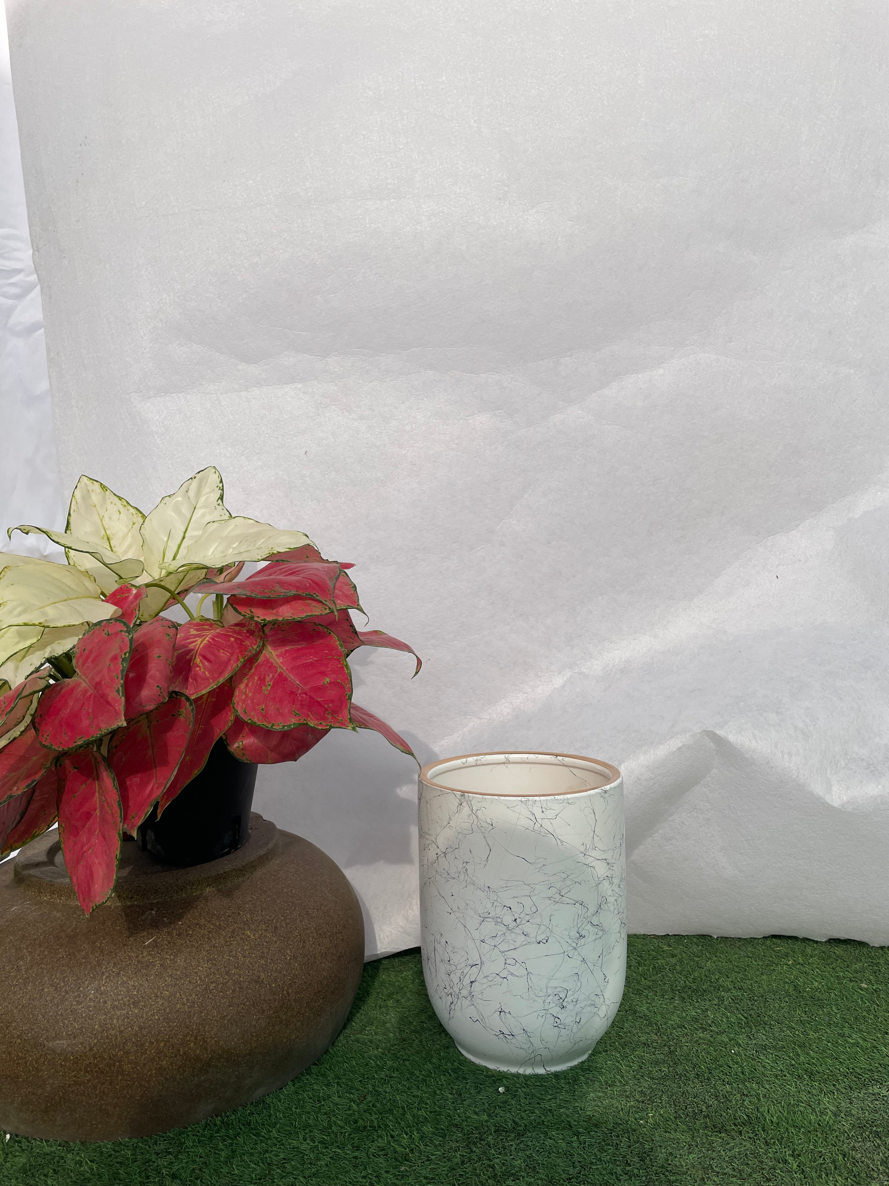Small - Marble Pot