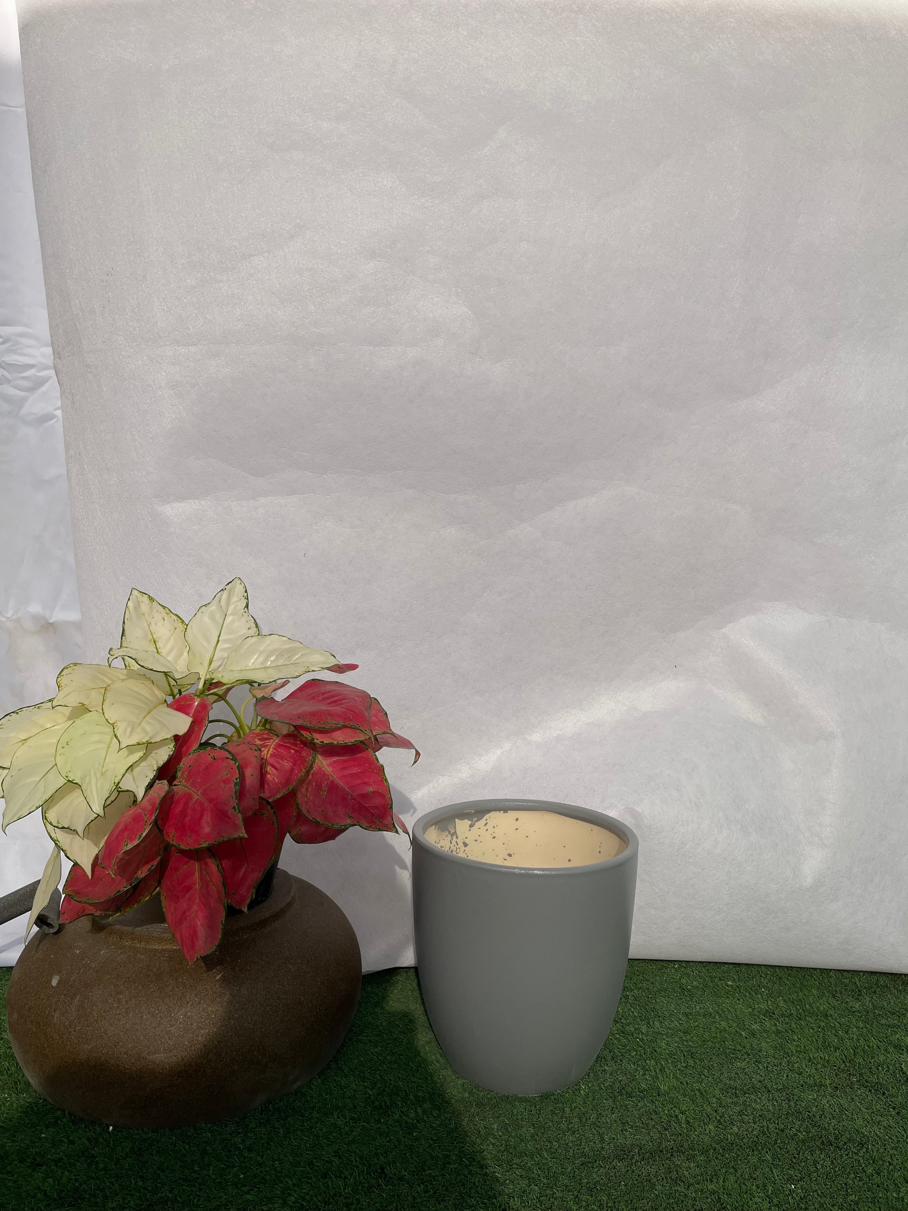 Medium - Ceramic Pot Grey