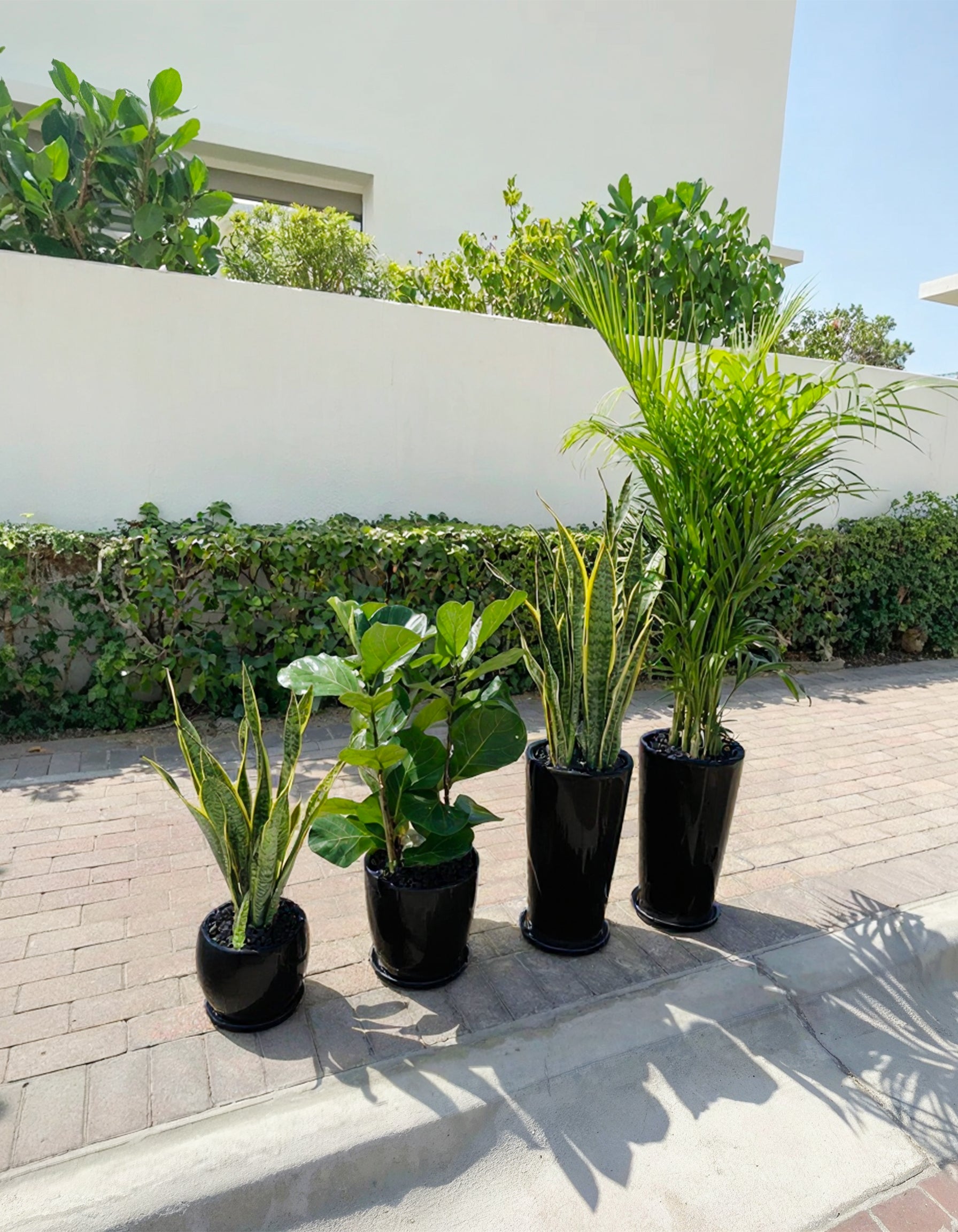 4 Air Purifier Set - Best Seller!