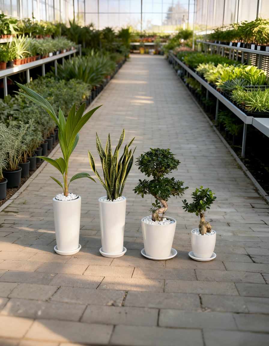 4 Outdoor & Indoors Bundle! - Best Seller!