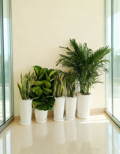 5 Air Purifier Bundle - Ceramic Pots