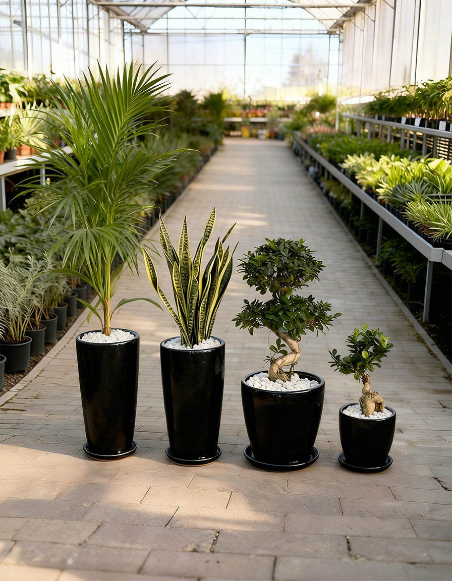 4 Outdoor & Indoors Bundle! - Best Seller!