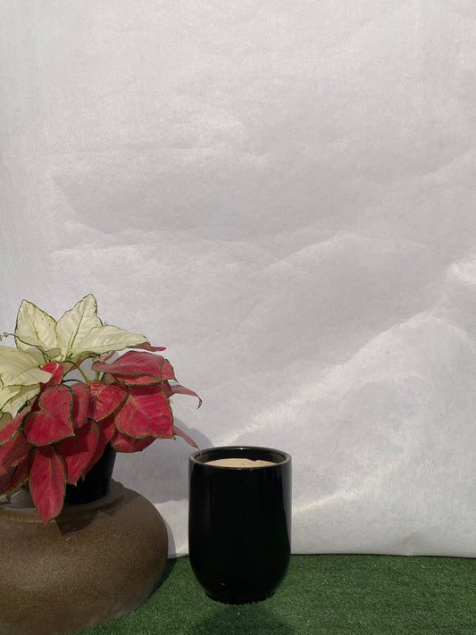 Medium - Ceramic Pot Black
