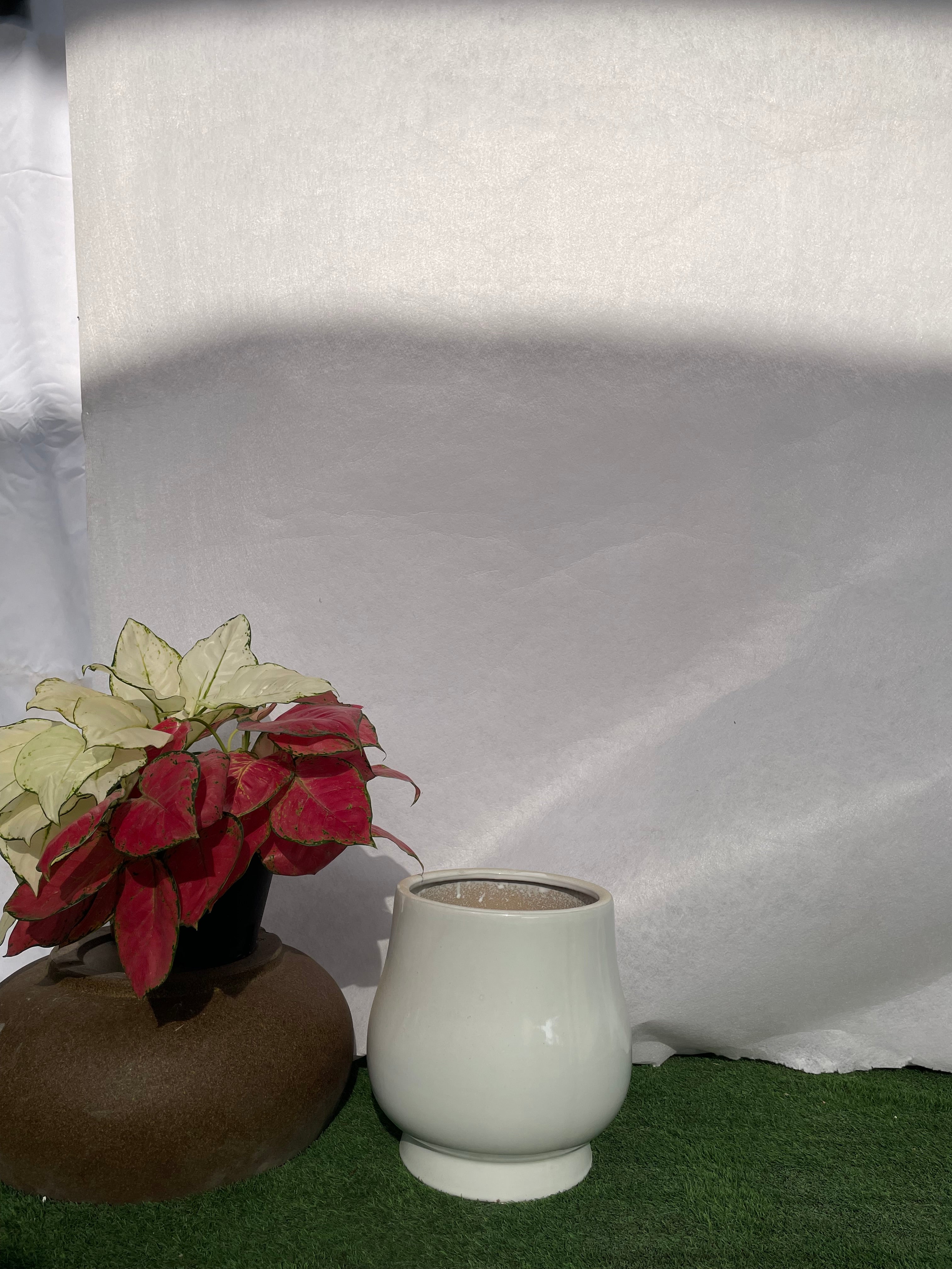 Shallow Medium - Ceramic Pot