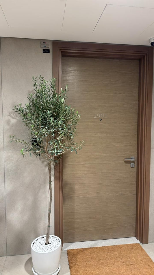 Tall Olive Tree