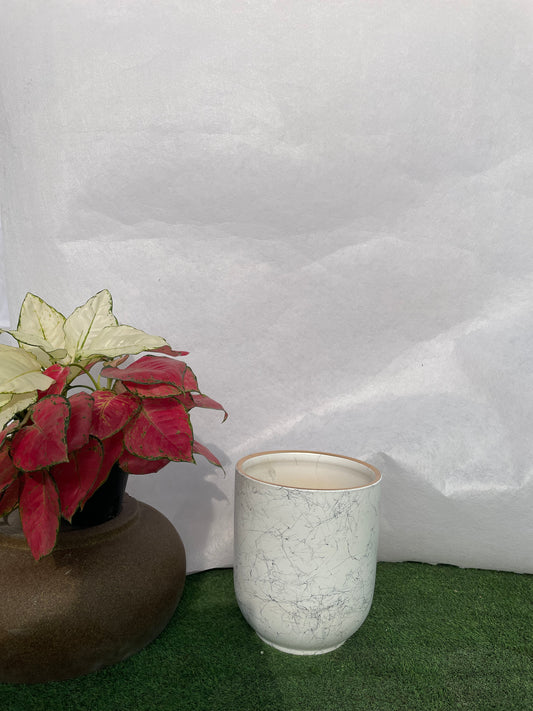 Medium - Marble Pot