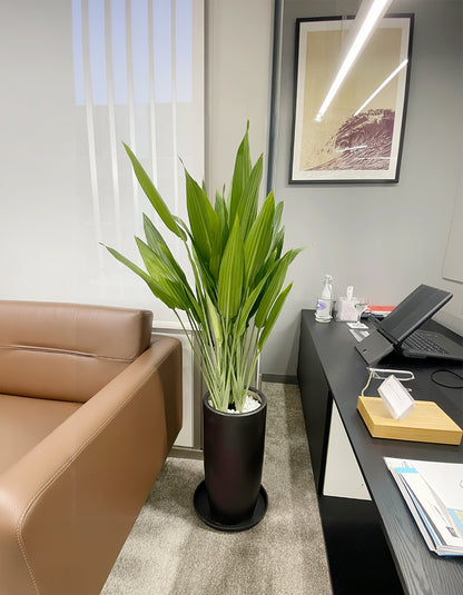 ASPIRADAS - Long pot