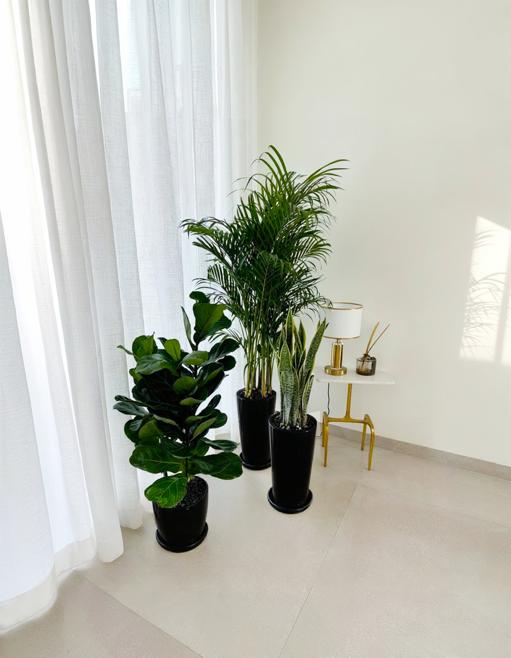 Air Purifier Bundle - Best Value