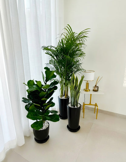 Air Purifier Bundle - Best Value