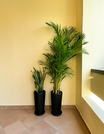 Air Purifying Bundle