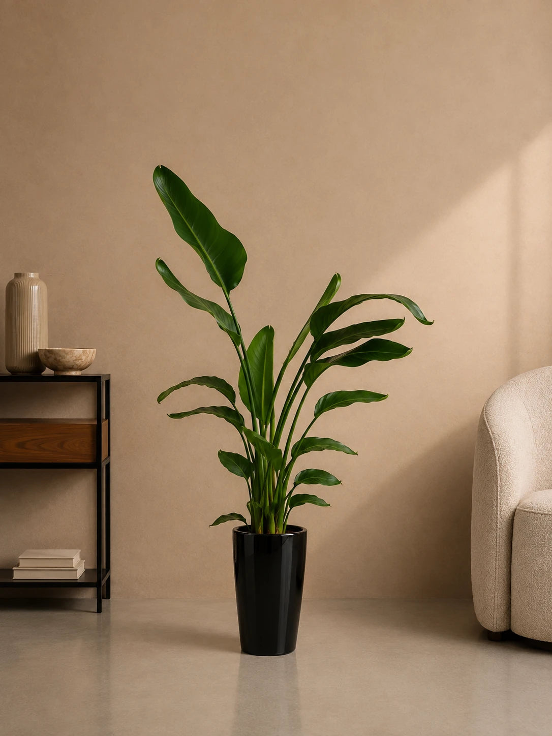 Bird of Paradise (Copy)