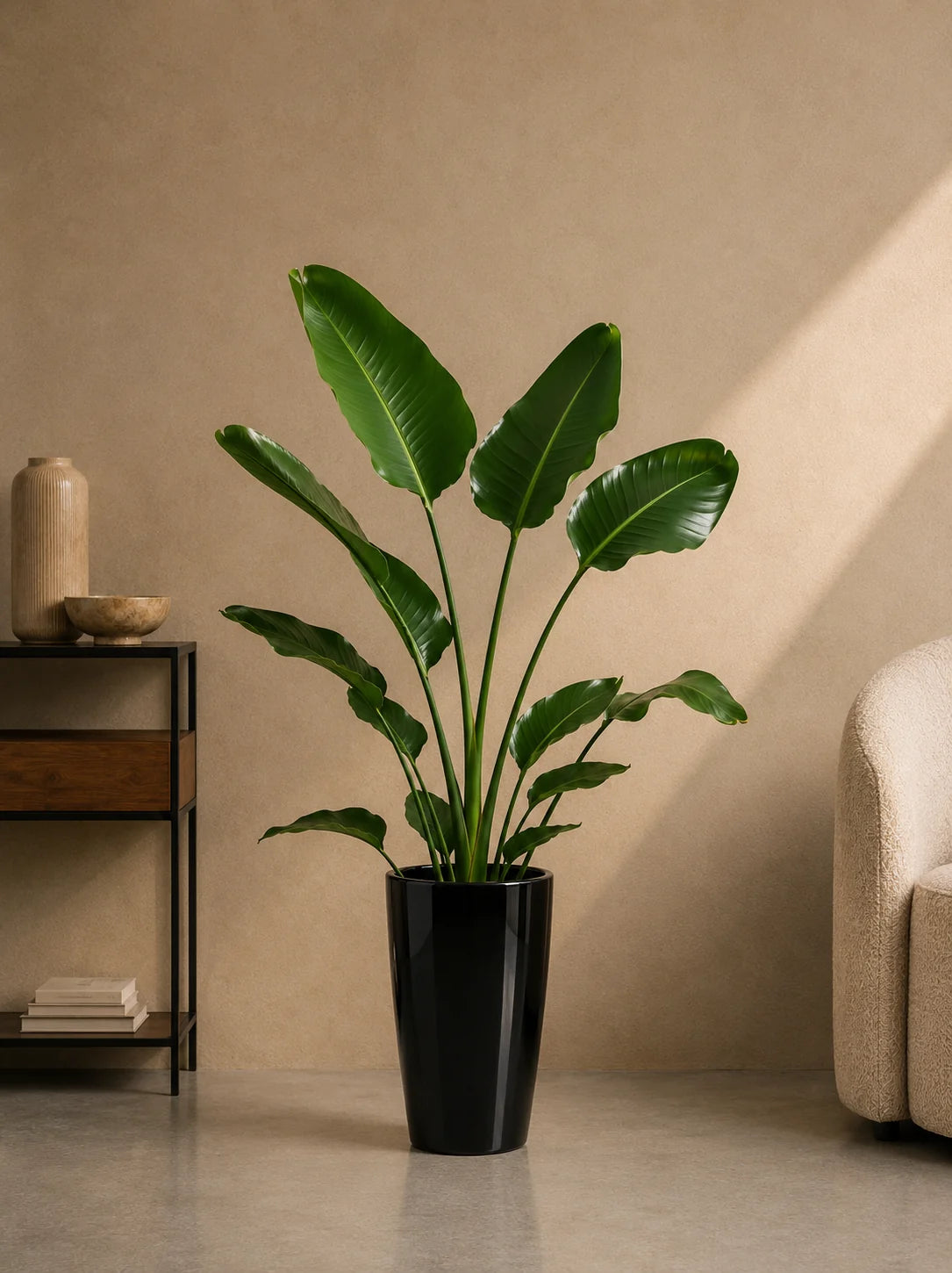 Bird of Paradise (Copy)