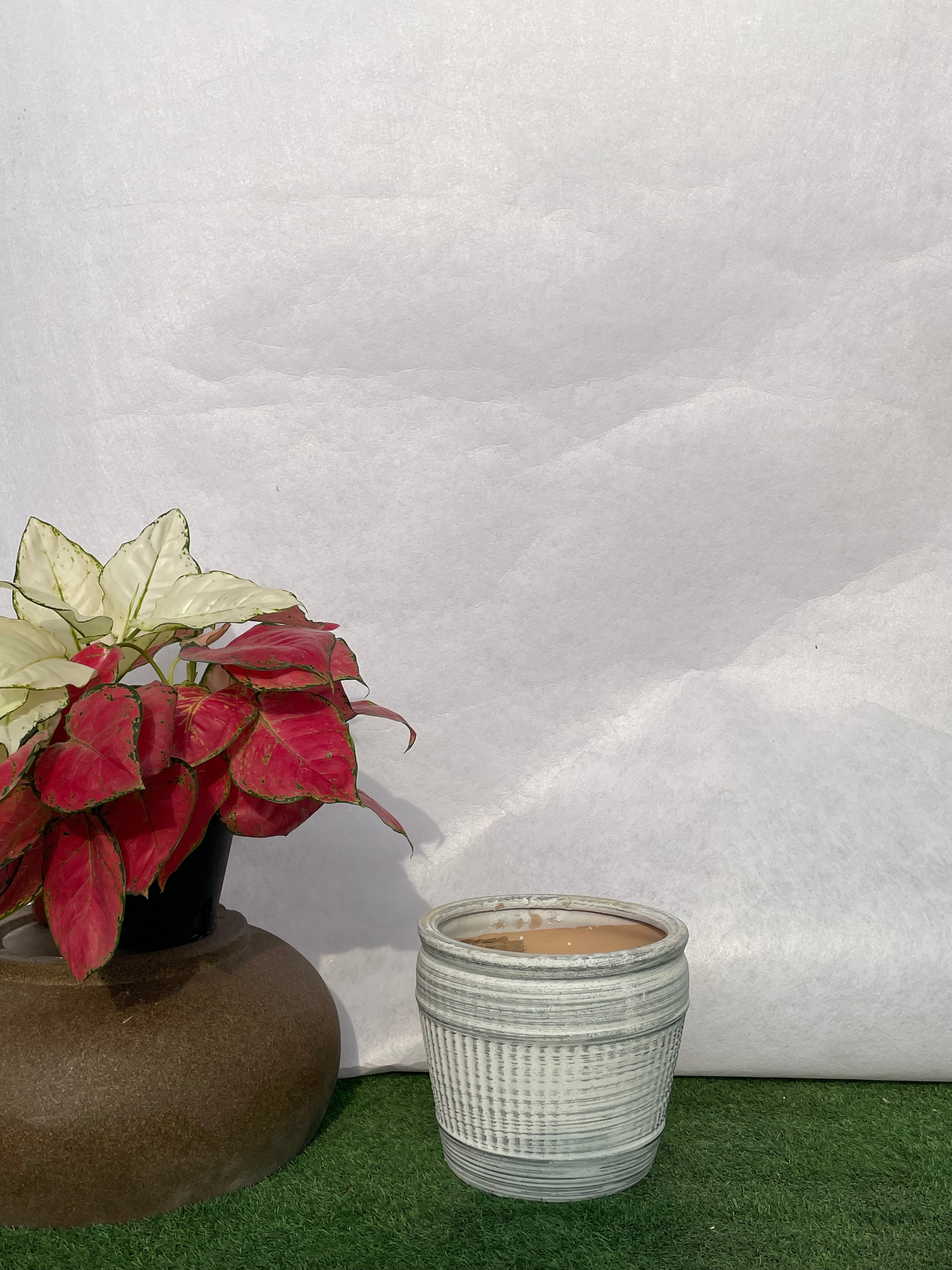 Medium Designer - Ceramic Pot