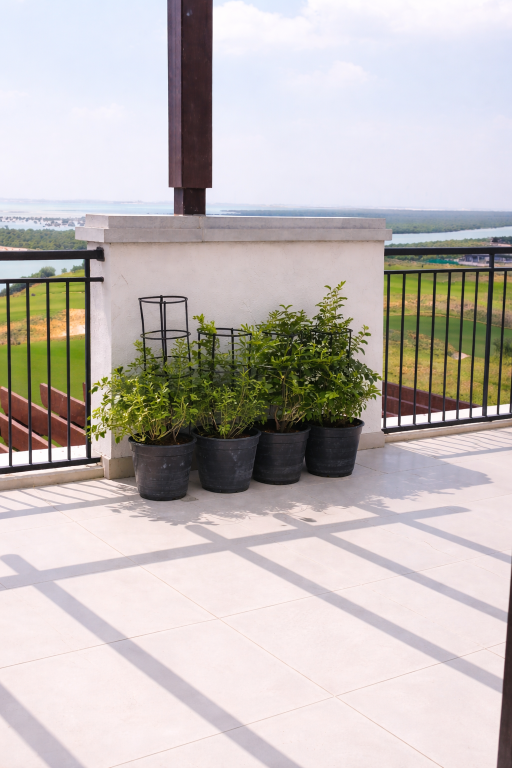 Jasmine Bundle of 4 - Nursery Pot