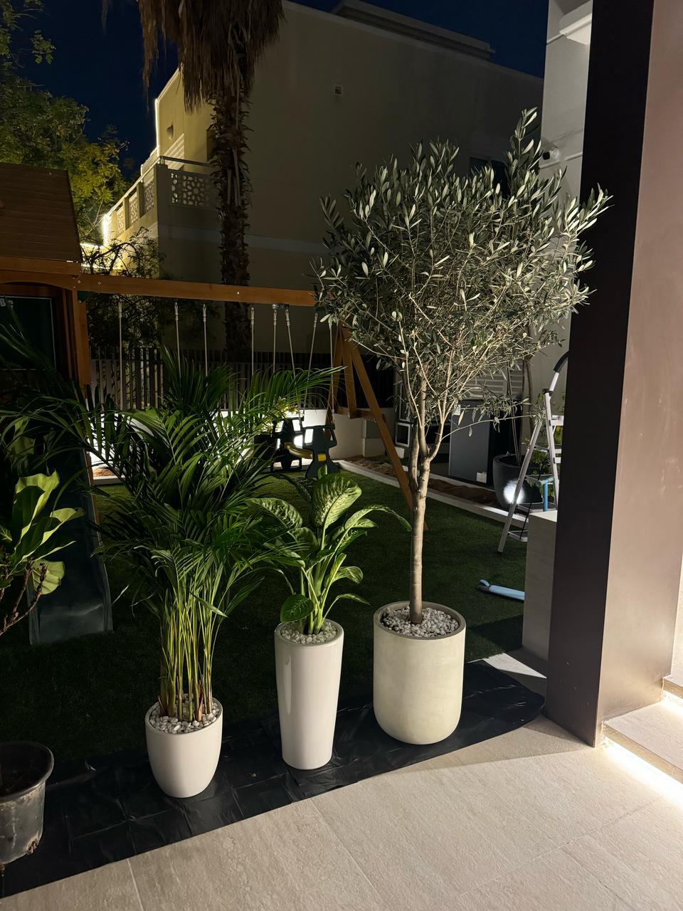Aesthetic Bundle - Olive & Diffenbachia & Areca Palm