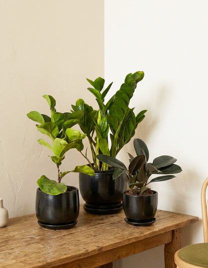 Easy Care - Air Purifiers  - Bundle of 3