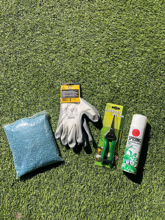 Beginners Plant CARE KIT - Easy to use